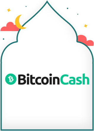 طريقة الدفع Bitcoin Cash