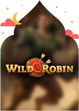مراجعة كازينو WildRobin