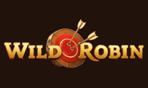 نظرة عامة على كازينو WildRobin