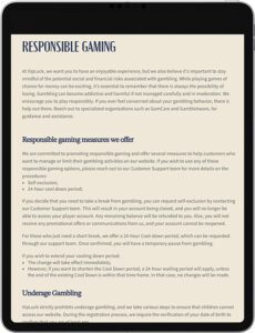 أمن كازينو VipLuck