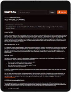 أمن كازينو Wageon