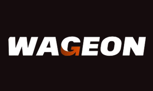 نظرة عامة على كازينو Wageon