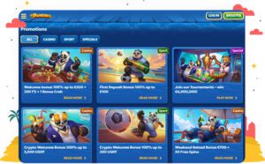 المكافآت والعروض الترويجية في كازينو Pandido